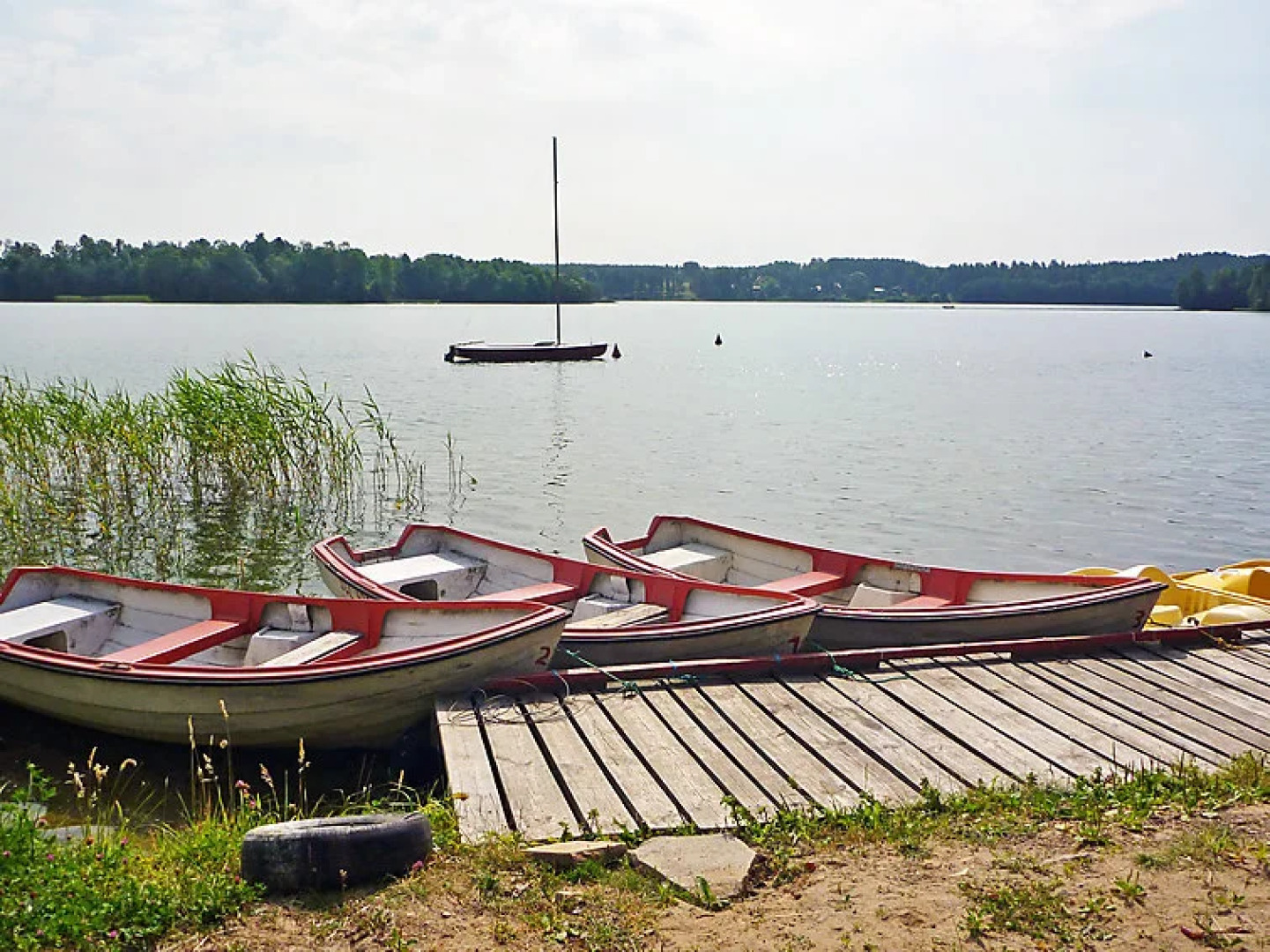 Trzy Brzozy Parchowo