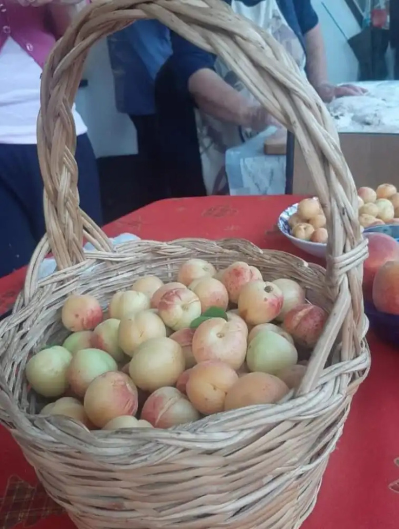 Bed and breakfast Villa Angelina