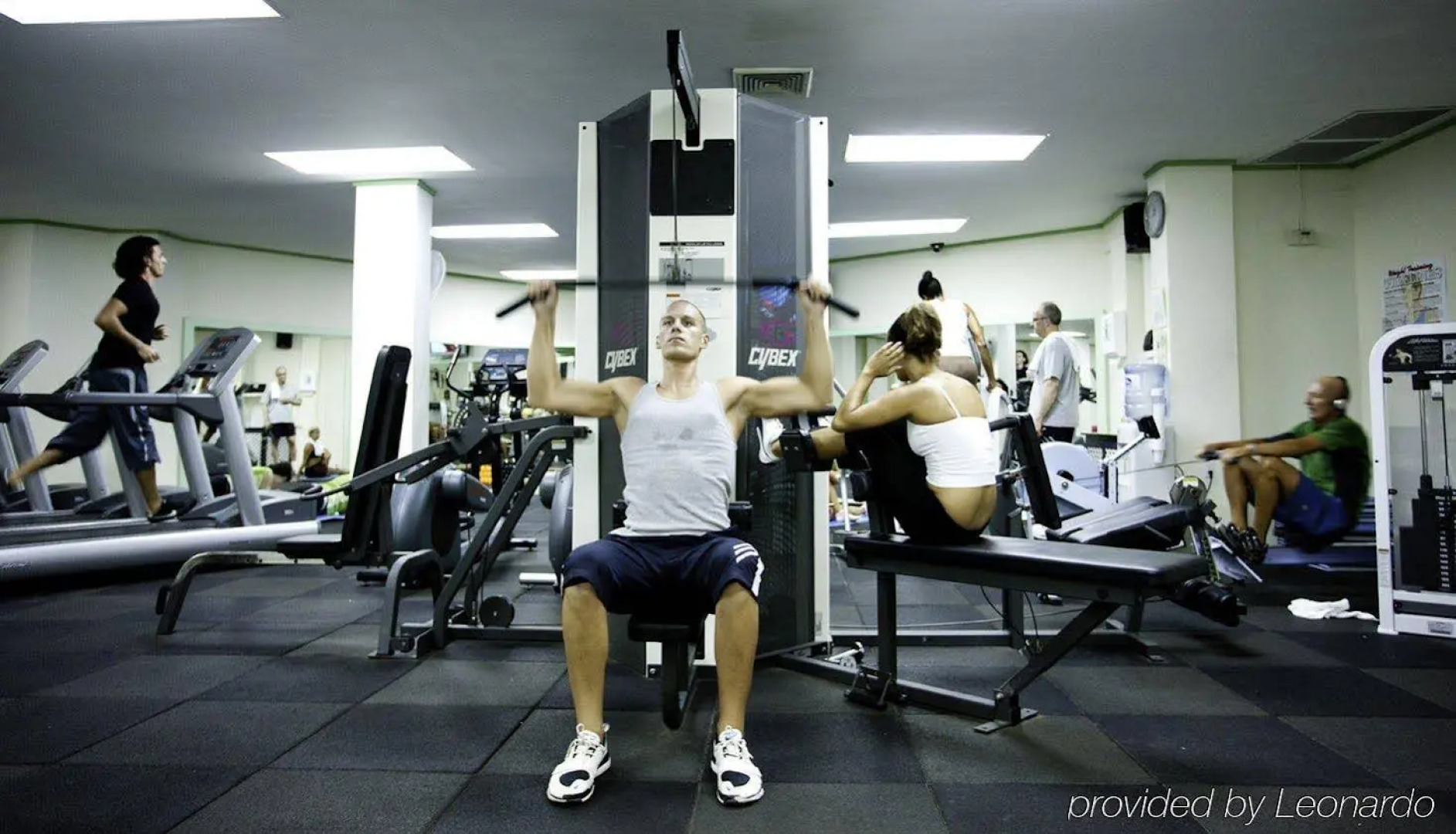 Bougainvillea Barbados