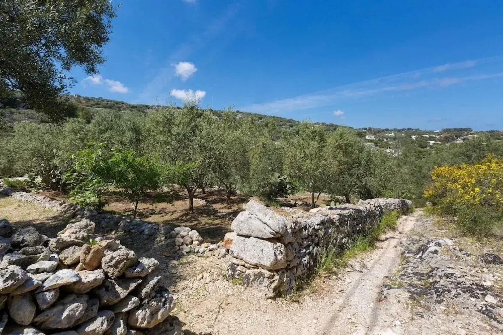 Il Giardino delle Cipolliane