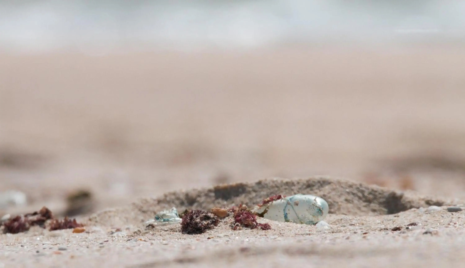 Spring Tide on 28 Main Struisbaai