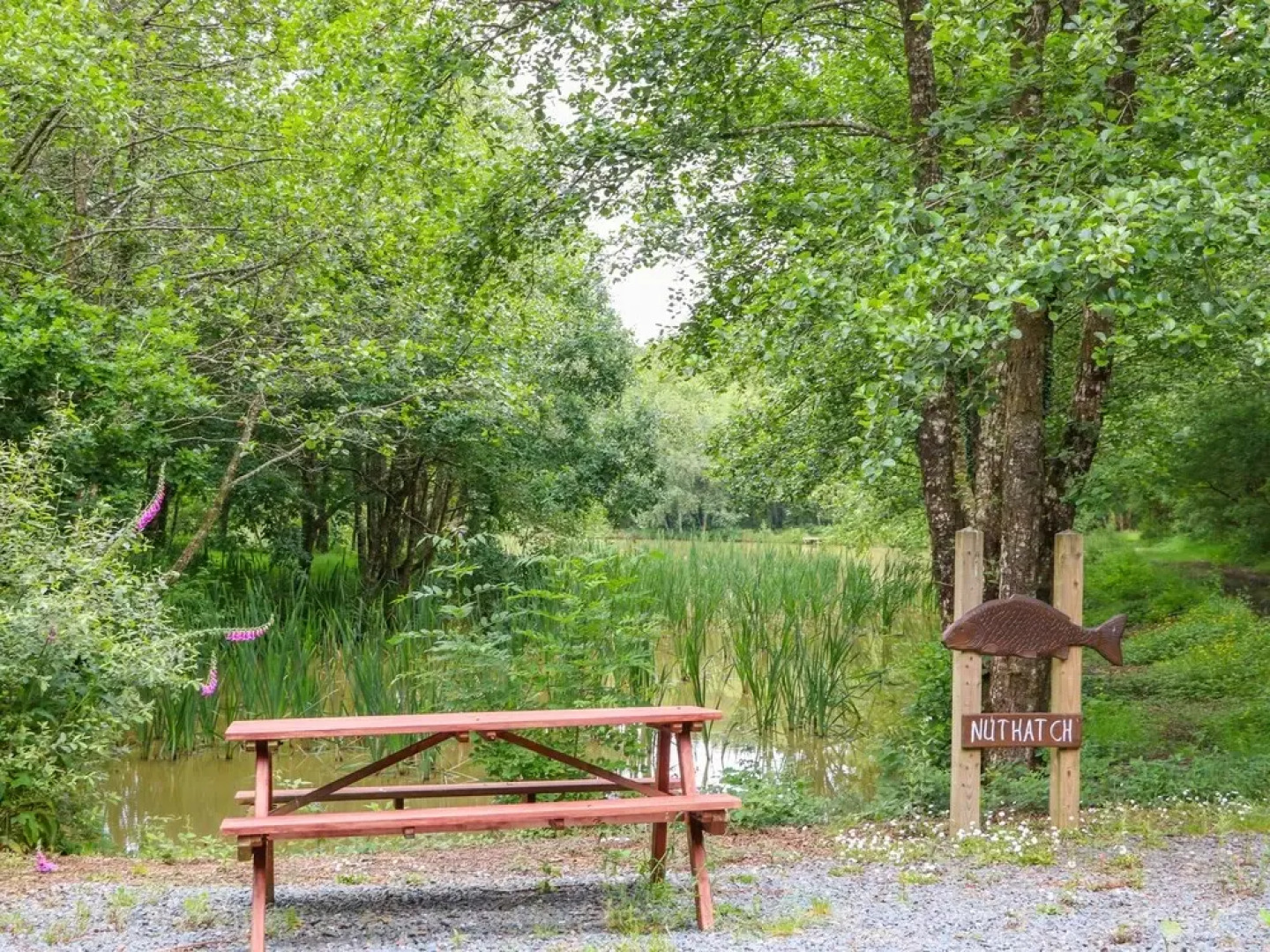 Beech Tree Kingslakes
