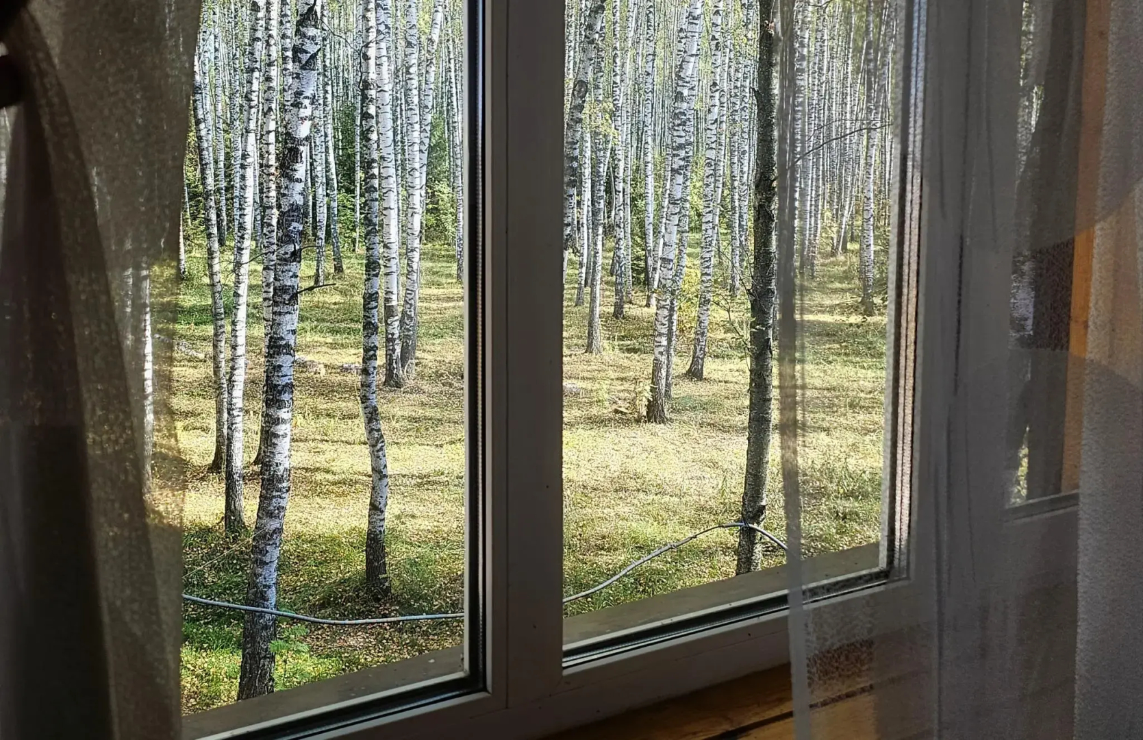 Хаски Хаус
