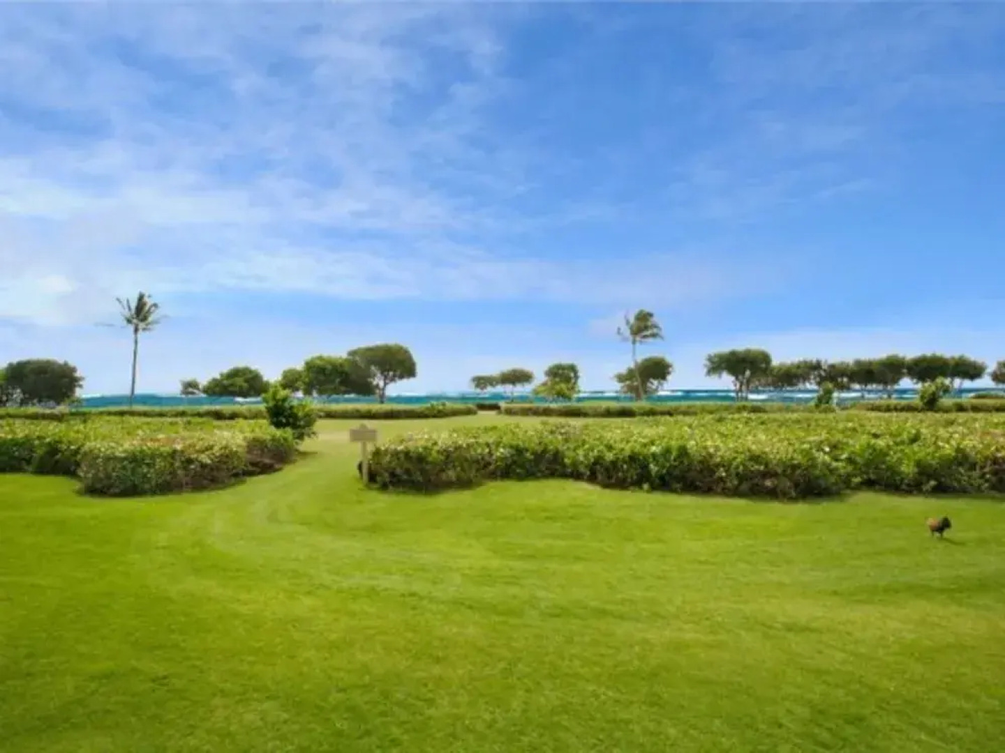 Waipouli Beach Resort G101 by RedAwning