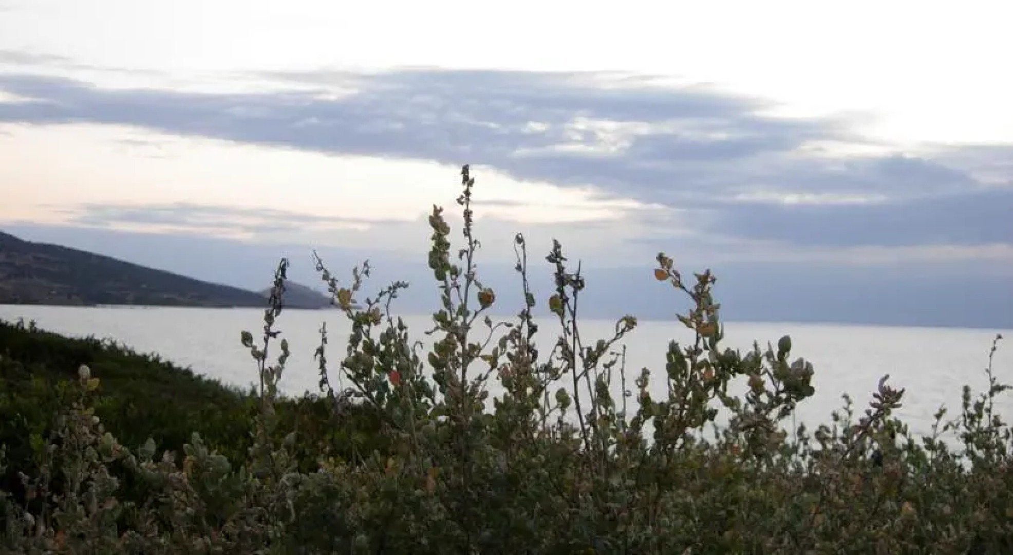 Villa Marta Maragnani