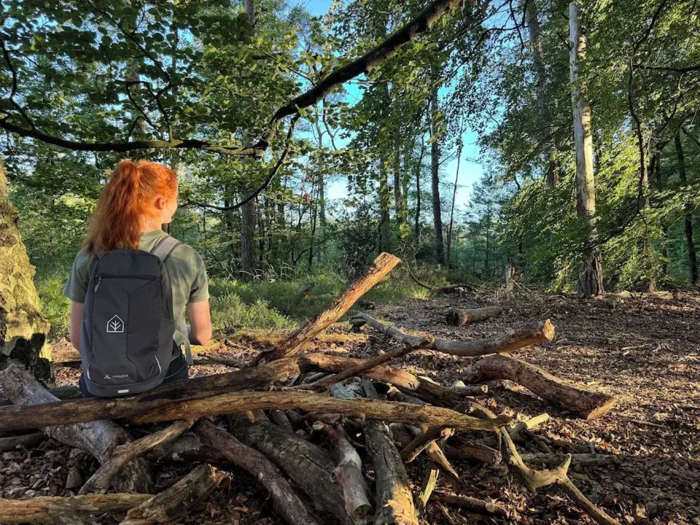 Witte Berken Natuurhotel