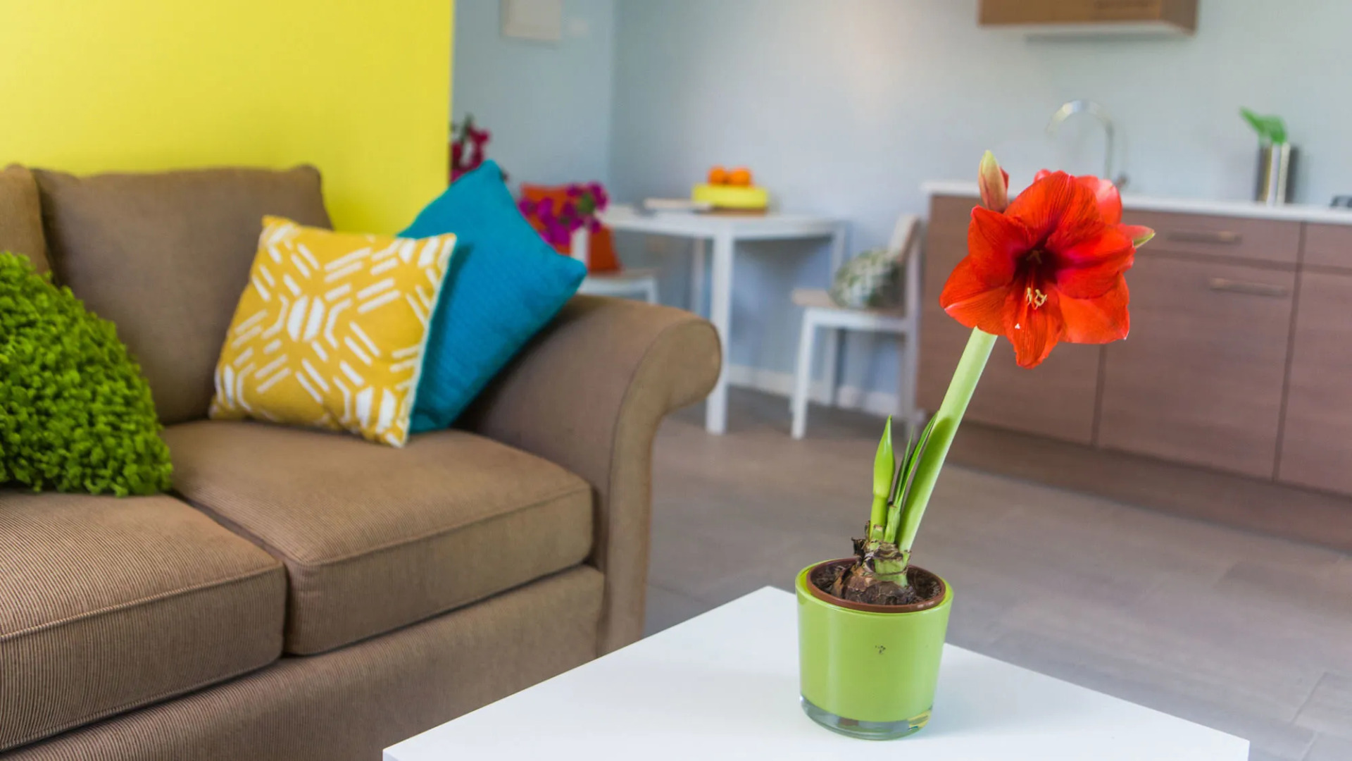 Bubali Bliss Studios & Villas