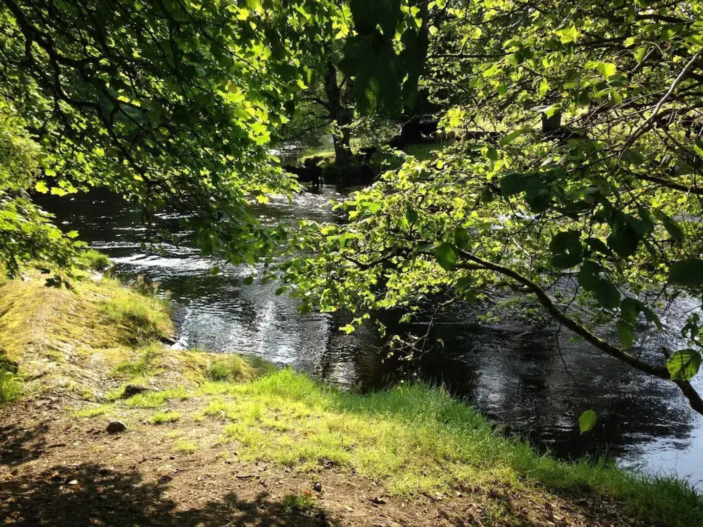 Cysgod y Coed Self Catering Accommodation