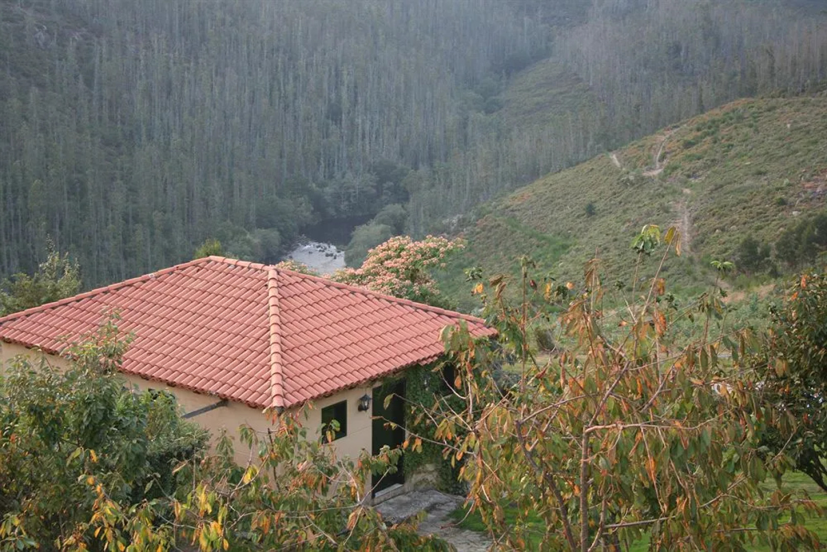 Casa Grande Do Bachao