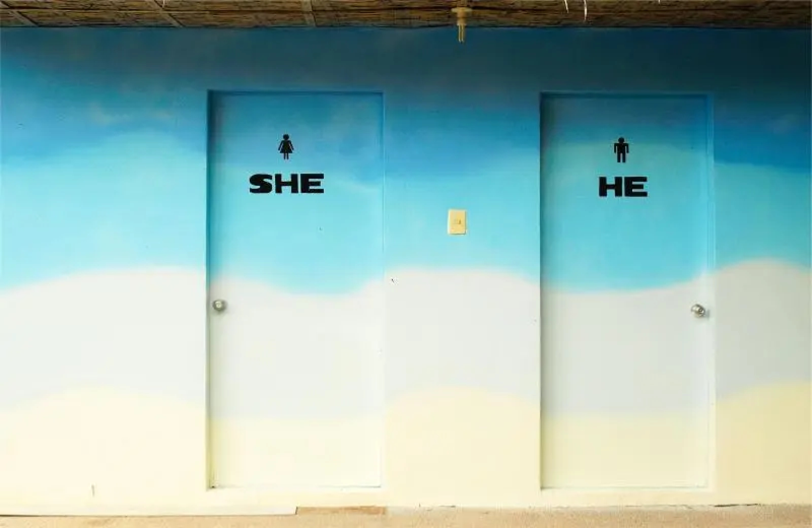 The Sharks Tail Dive Center