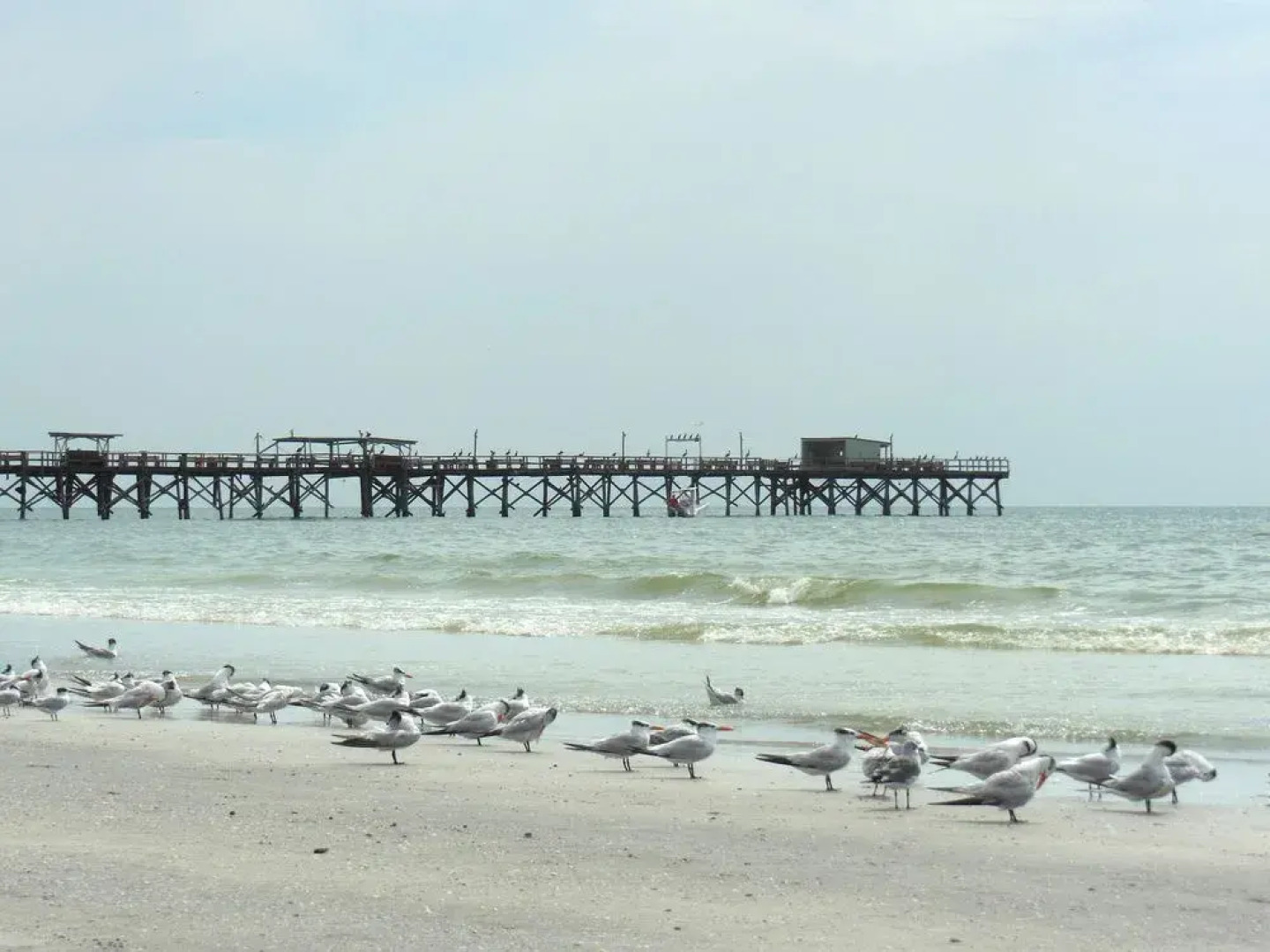 Redington Beach Vacations by TechTravel