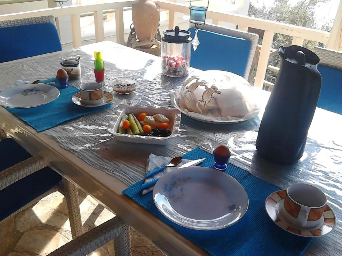 Odyssia near the Seaside