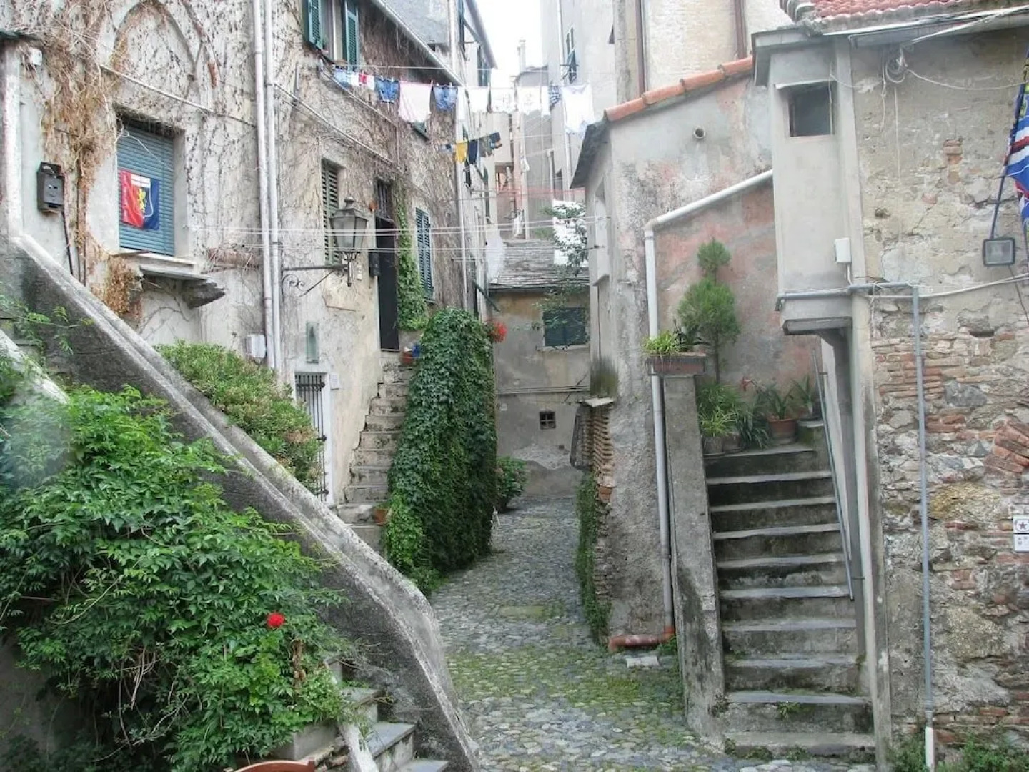 Joy Bed and Breakfast