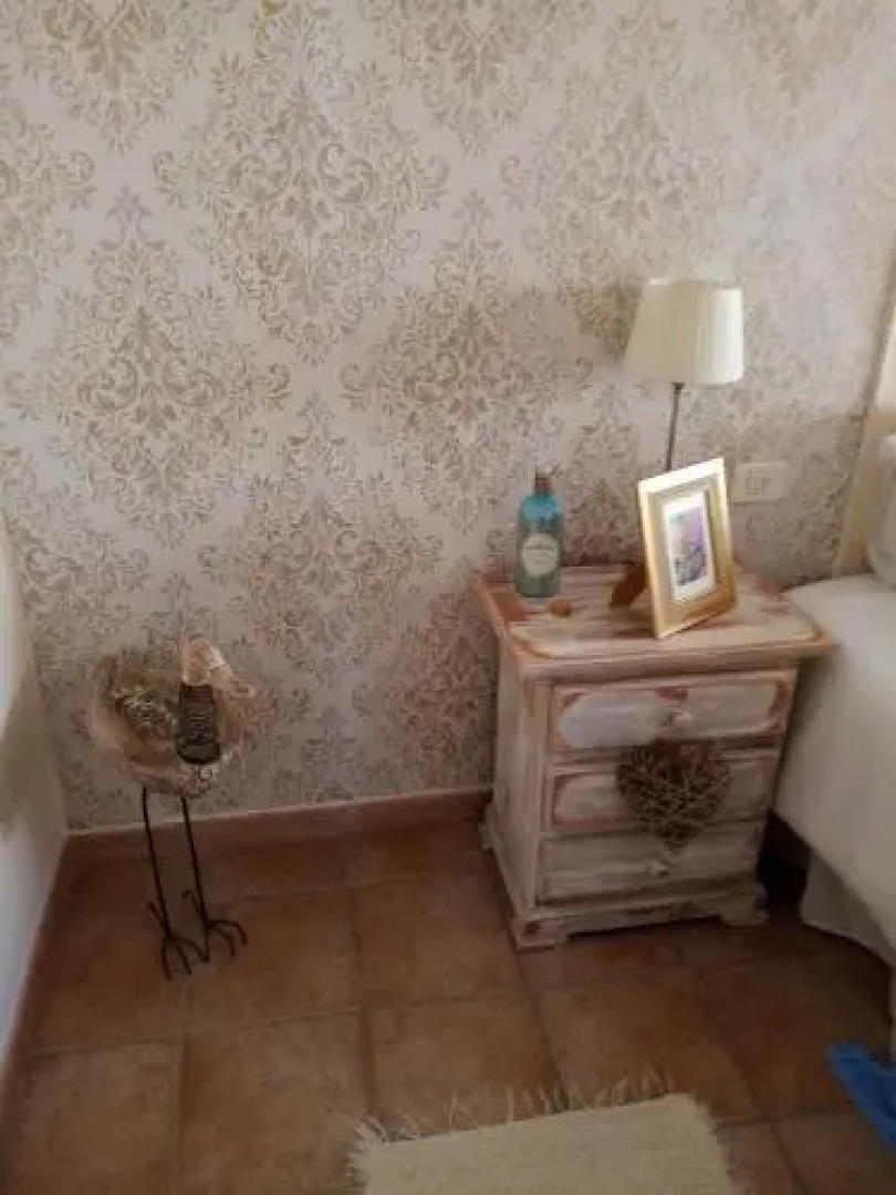 Ziggy's Mountain Retreat