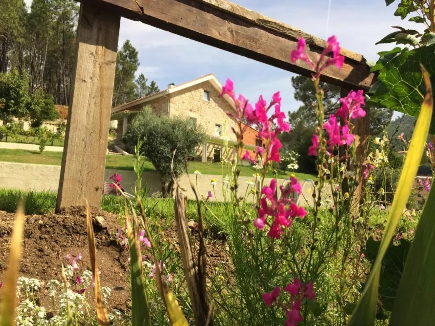 Casa Da Ribeira Do Círio
