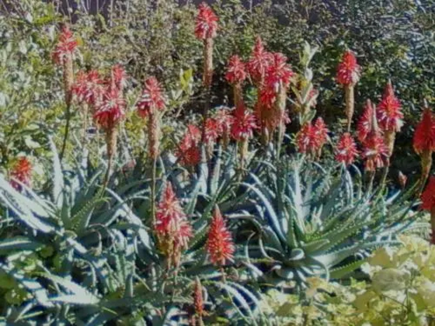 Auberge des Cascades