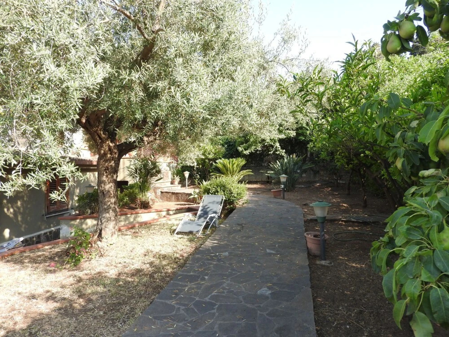 Terrazza Golden Hill