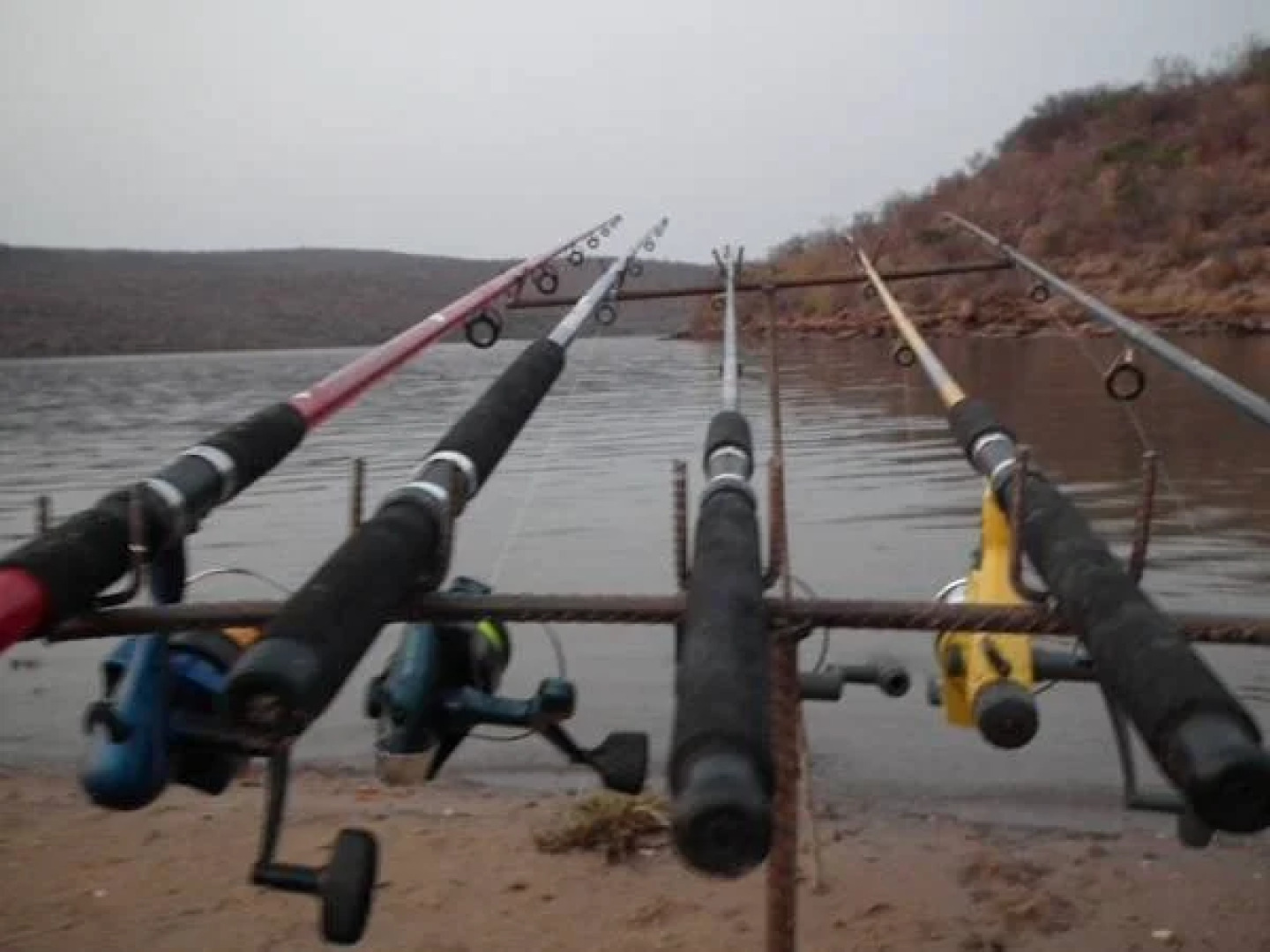 Gorgeous Gecko Guesthouse