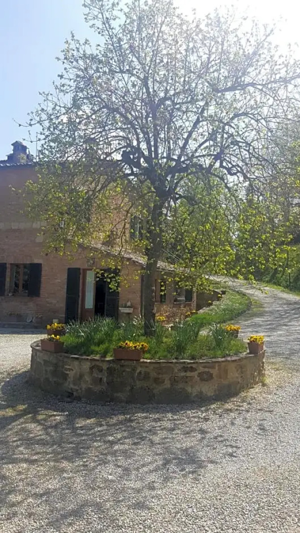 L'Angolino di Martiena