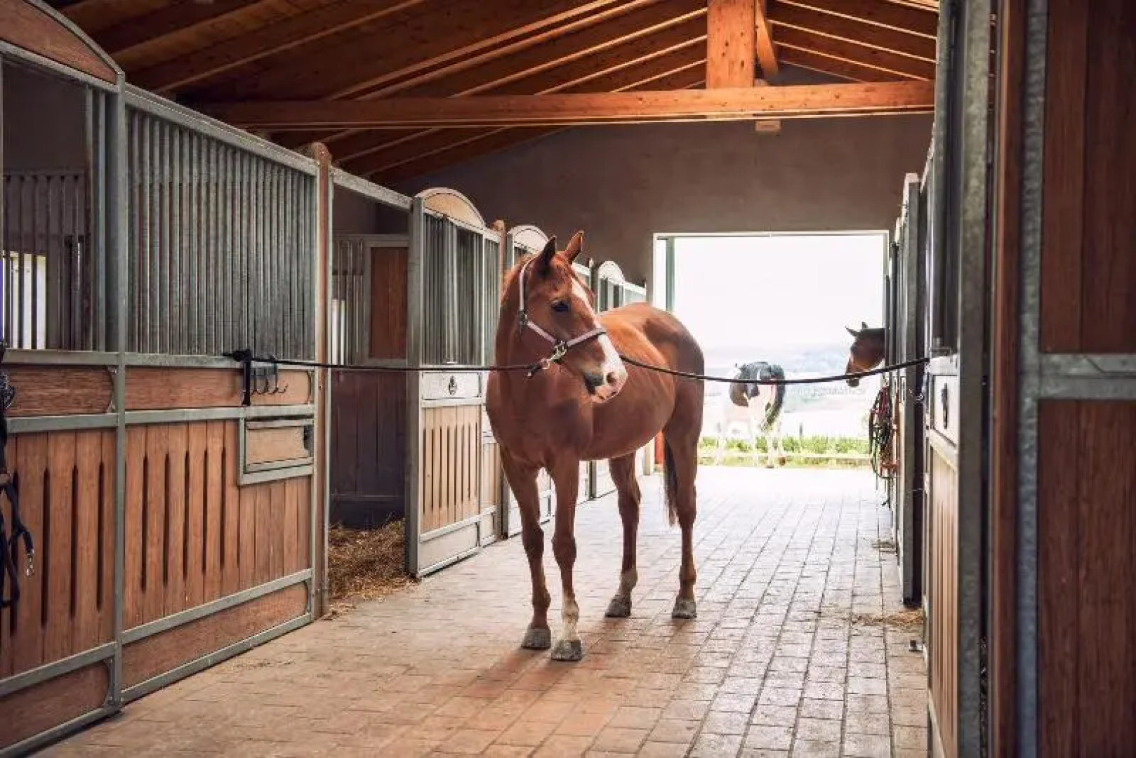Diacceroni B&B Organic Farmhouse