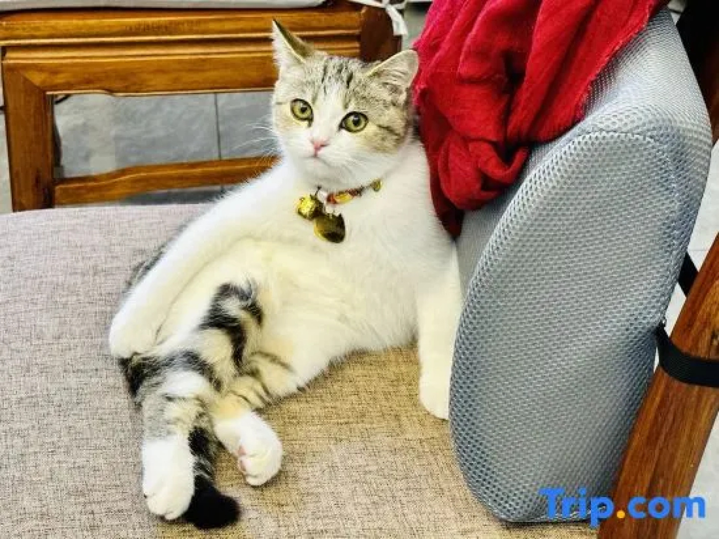 Wuzhishan Yisuli Theme Hotel