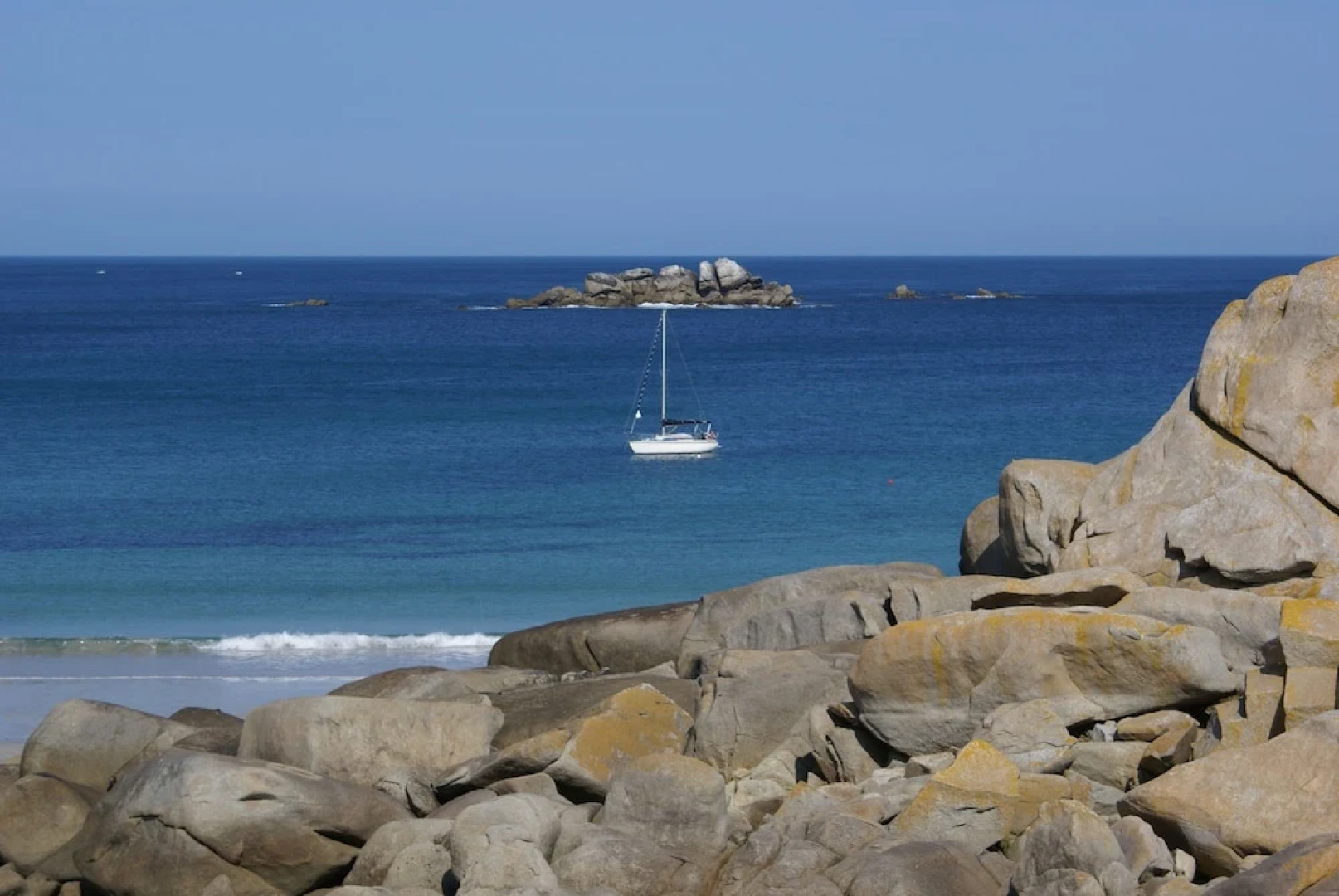 La Canopée des Pins