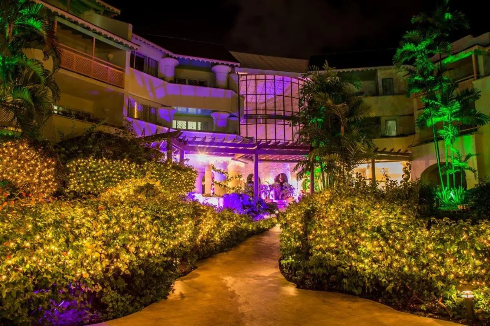 Bougainvillea Barbados