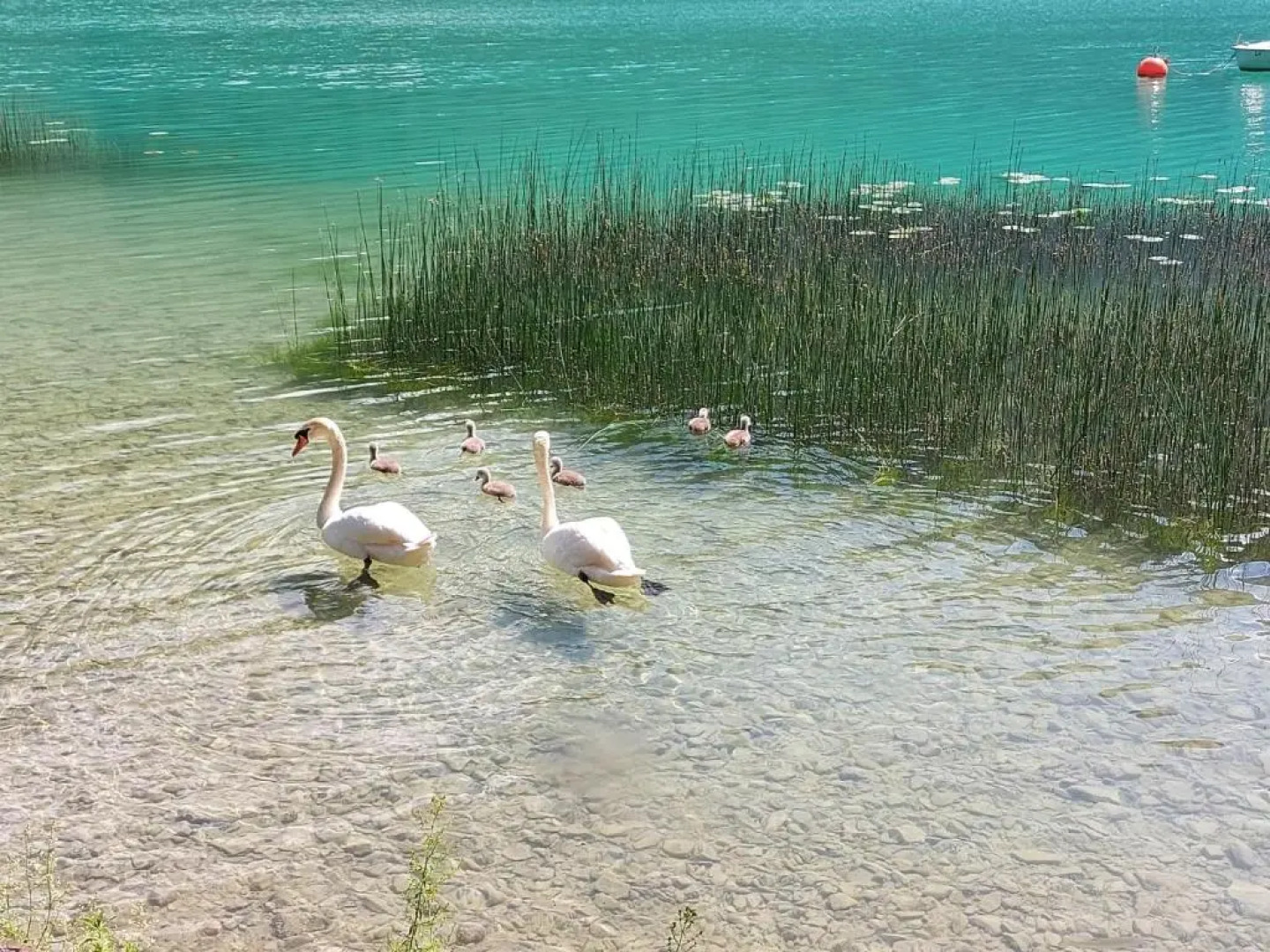 Ferienwohnung Woferlbauer