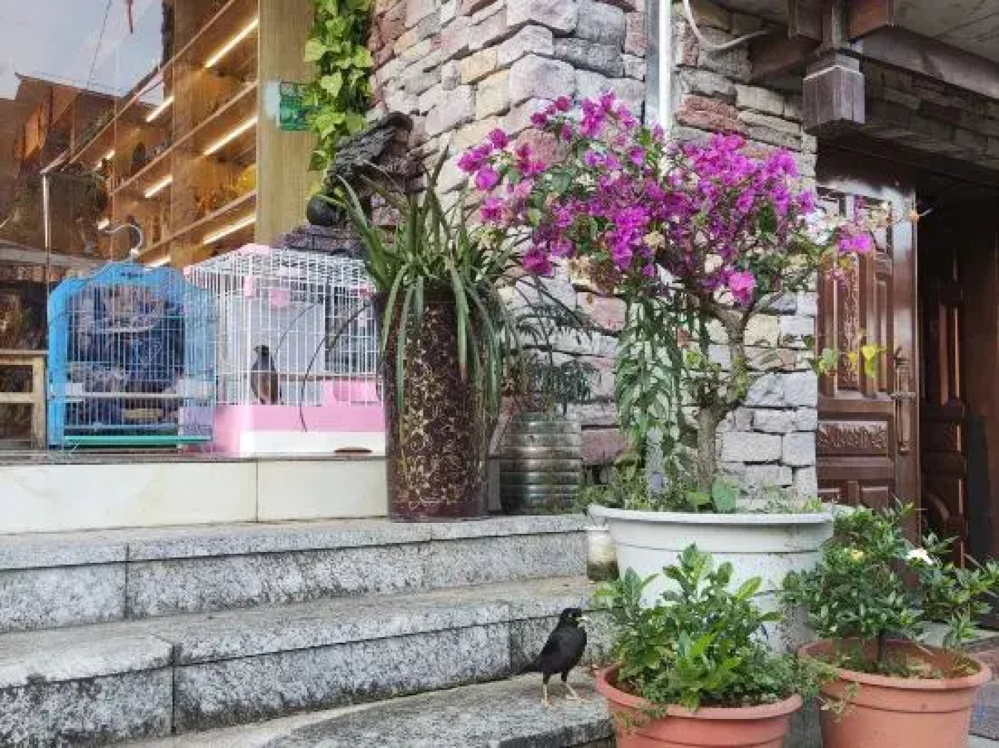 Xiaoqikong nanmu lnn