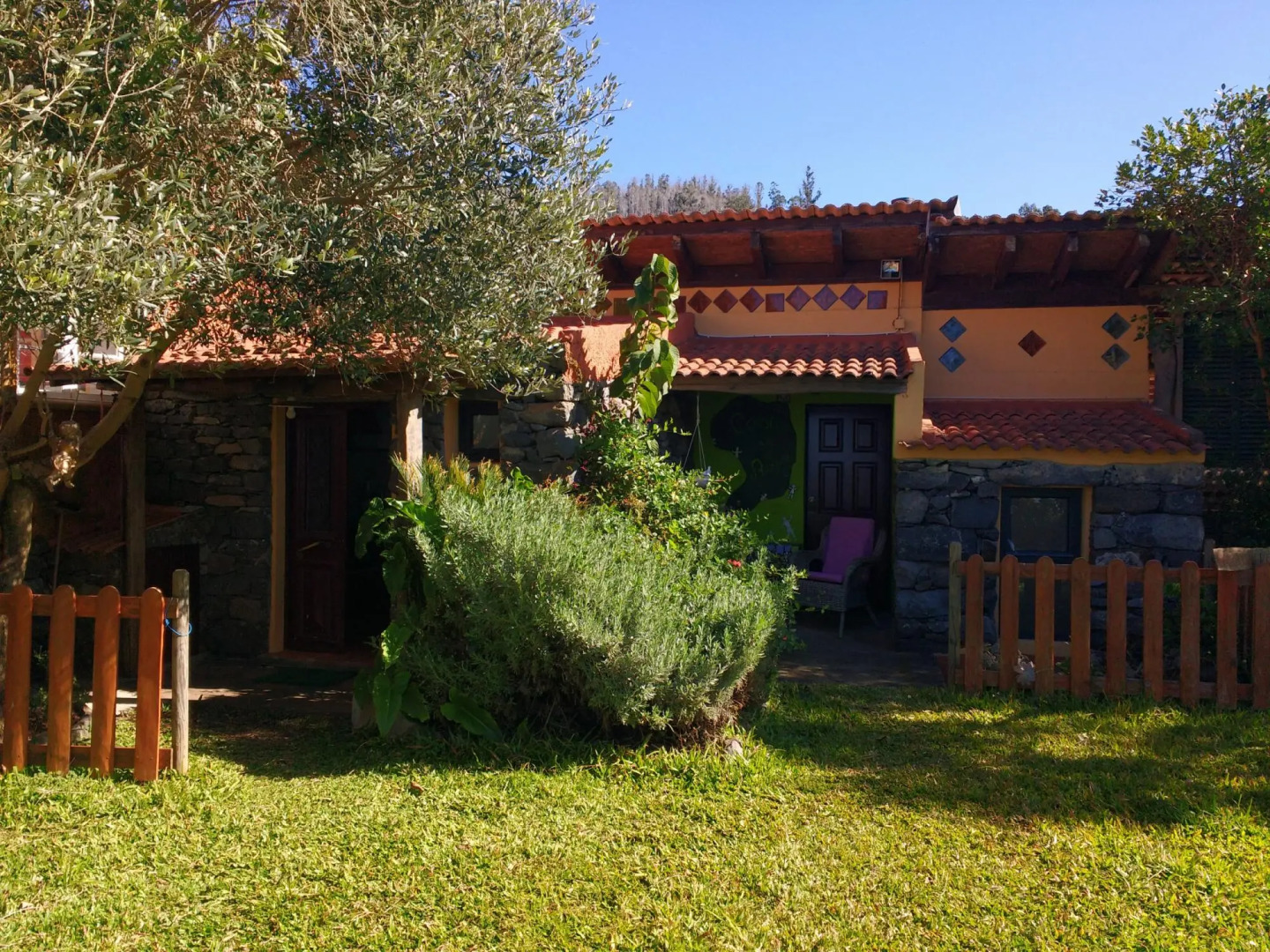 Casas Maravilha - Rvore by Homie