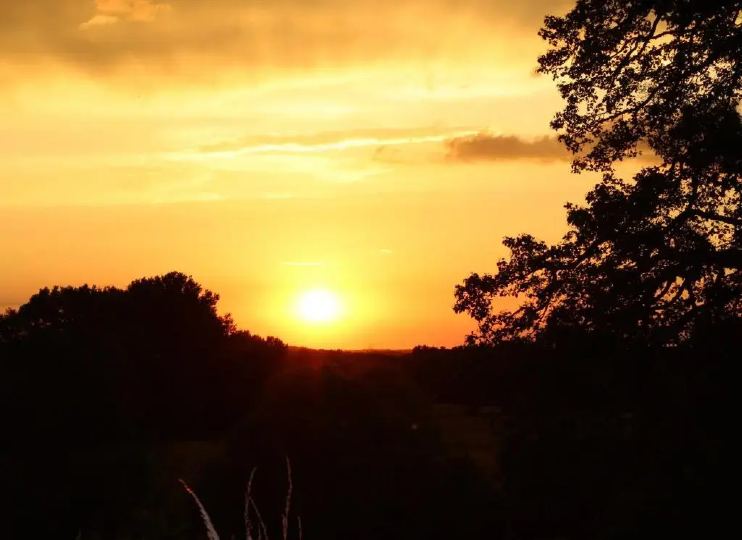 Gîte à lombre des chênes