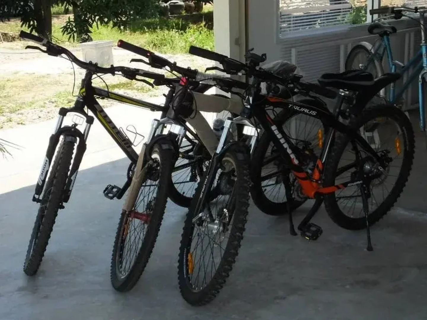 Asia Nature Bicycle Dorm