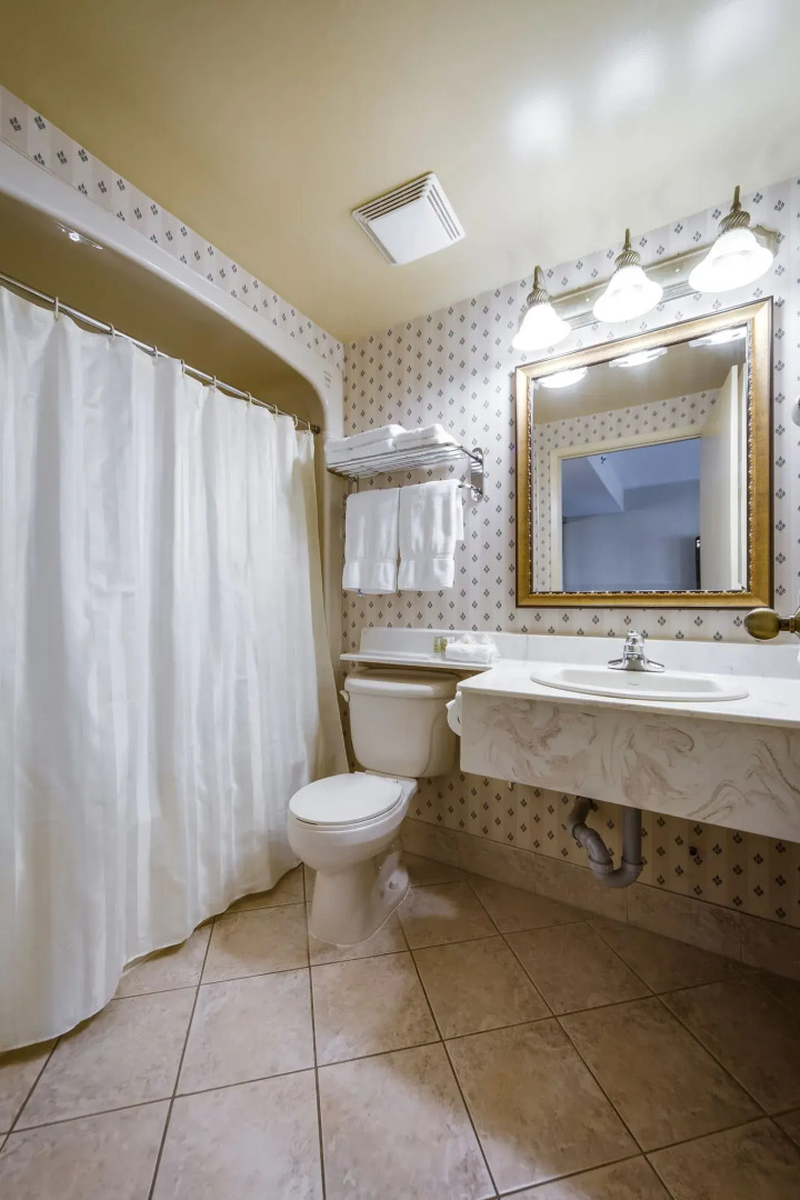 Monte Carlo Inn - Brampton Suites