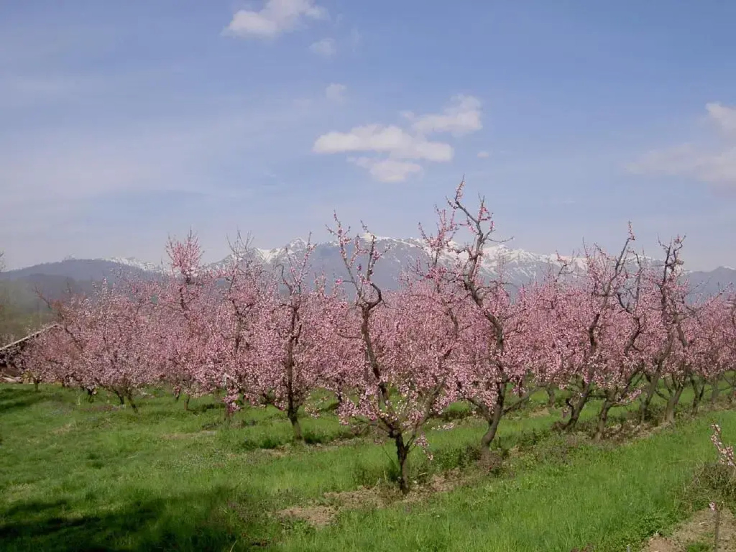 Agriturismo Il Frutto Permesso