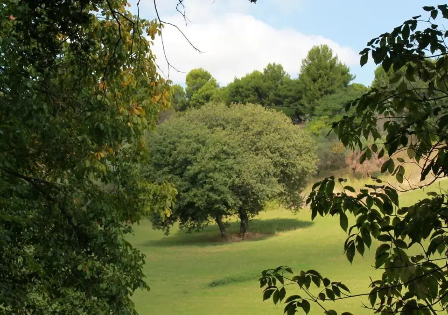 Glamping Poggio Imperiale Marche