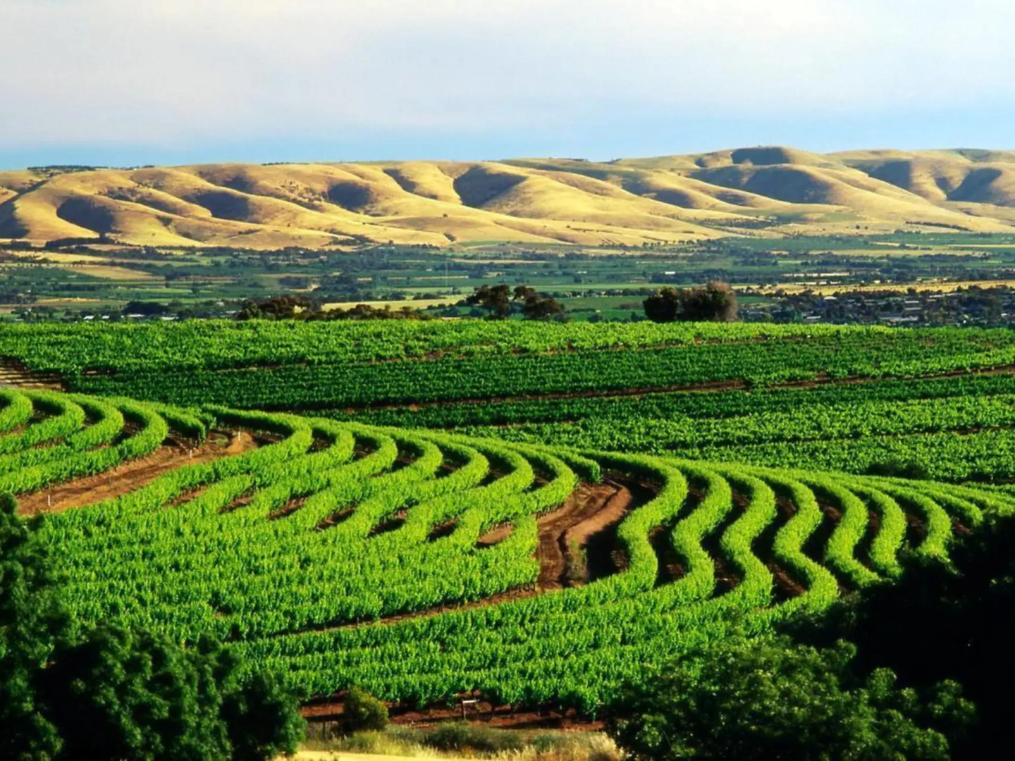 Hahndorf Motor Lodge