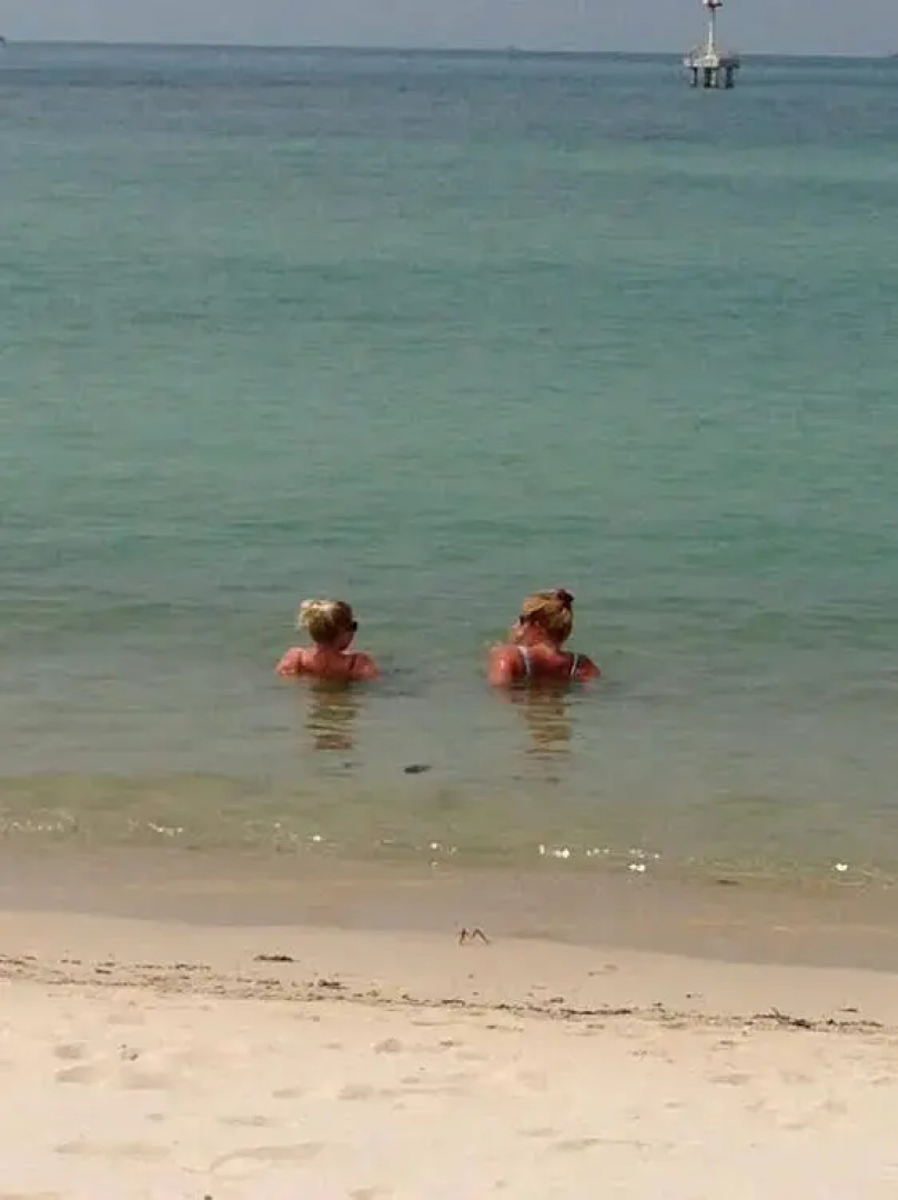 Appartement en Studio Papillon