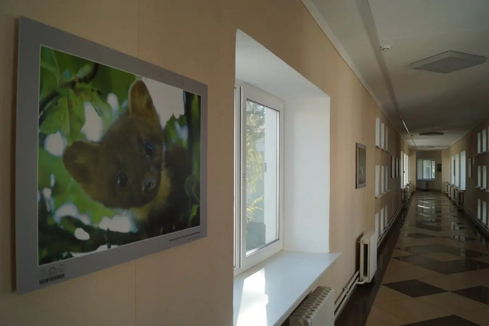 Жемчужина (Витебская)