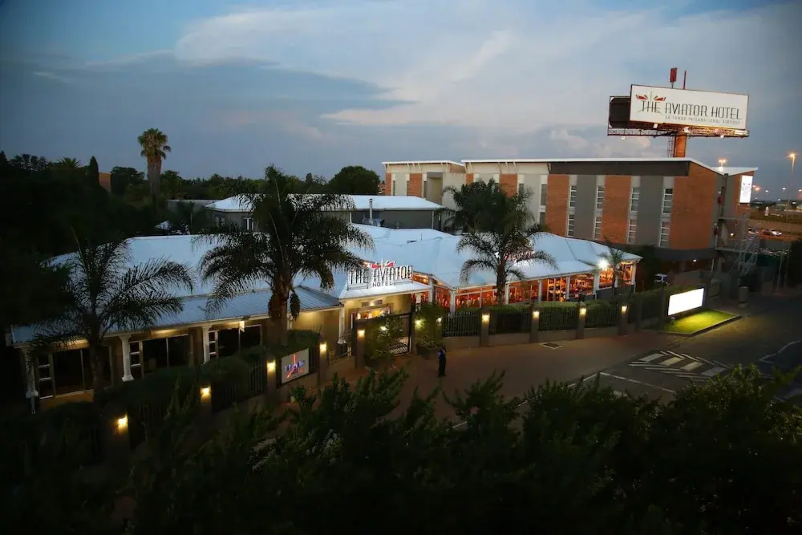 The Aviator OR Tambo