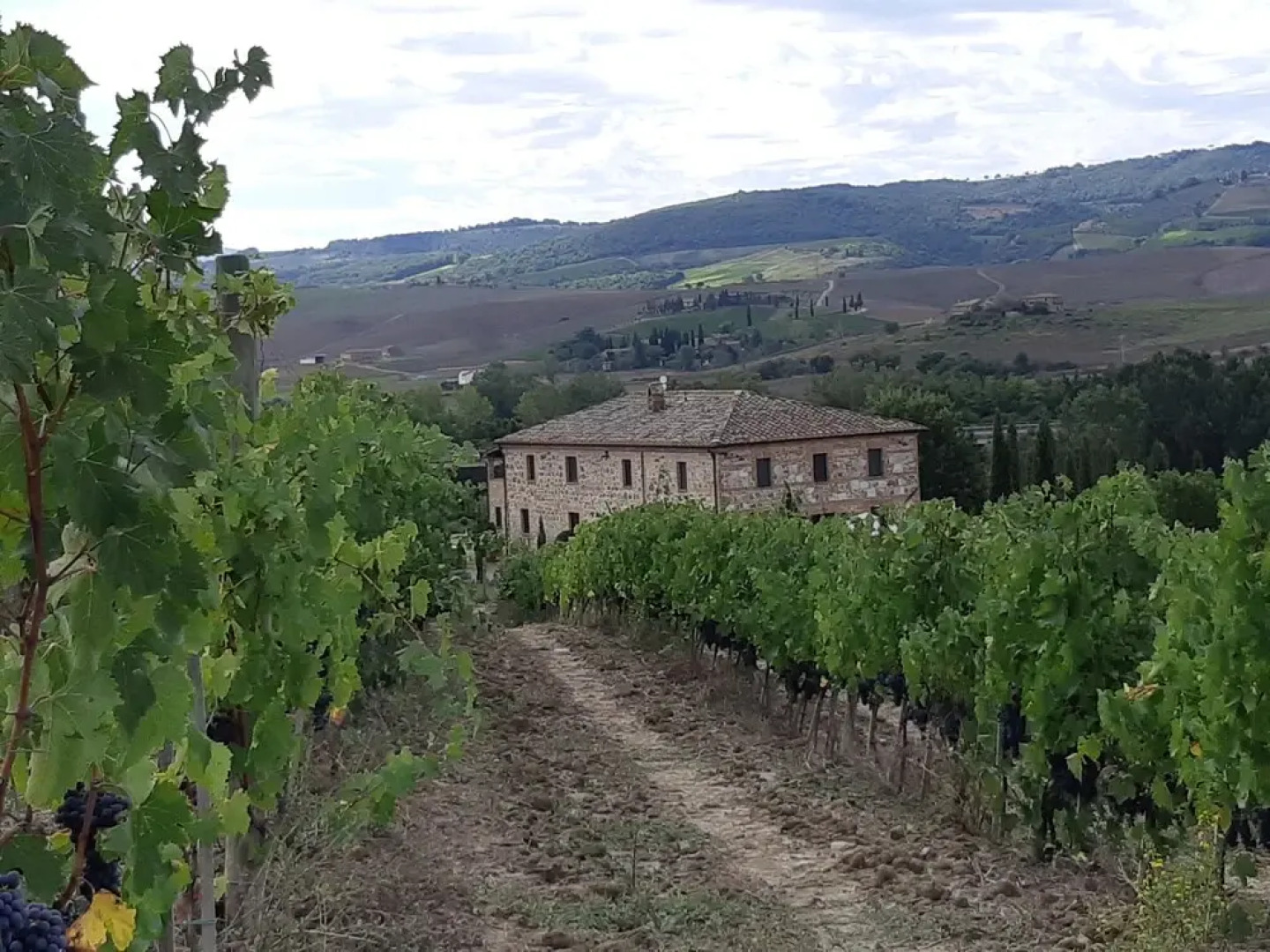 Cordella in Montalcino Wine Resort