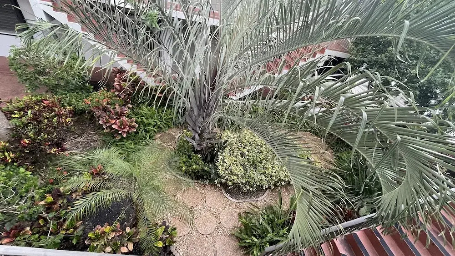 Petrina Studio Apartment