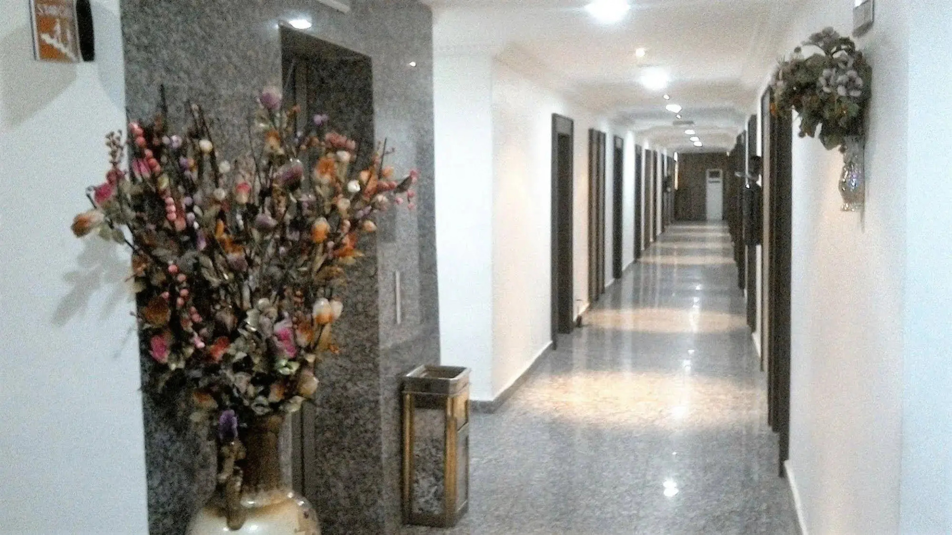 Immaculate Suites & Apartments