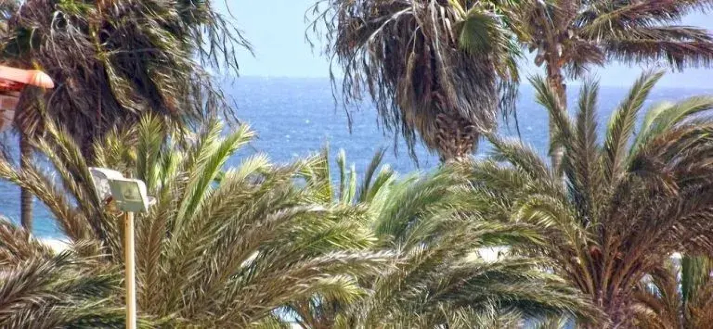 Djadsal Moradias Tropical Resort