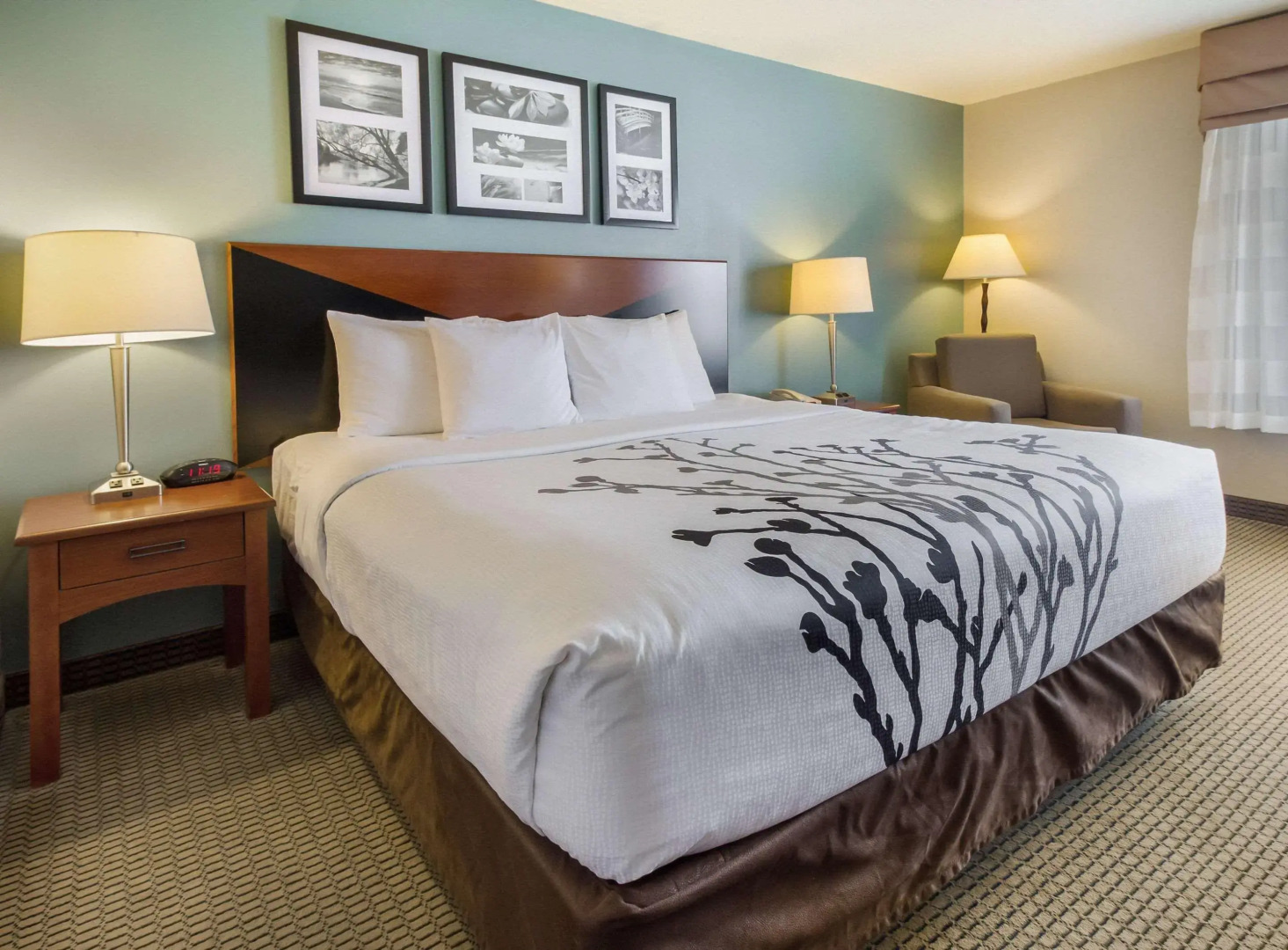 Sleep Inn And Suites Rapid City