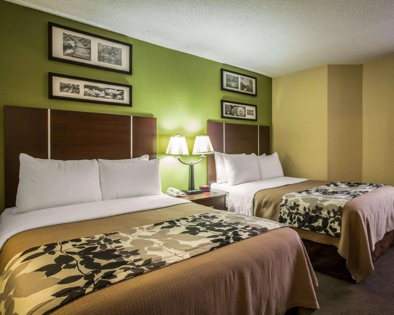 Sleep Inn Asheville - Biltmore West