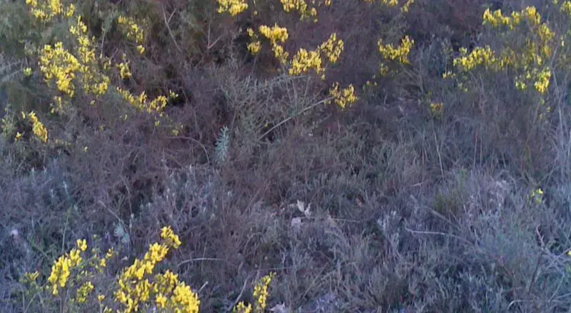 Apart Rurales Esencias De La Alcarria