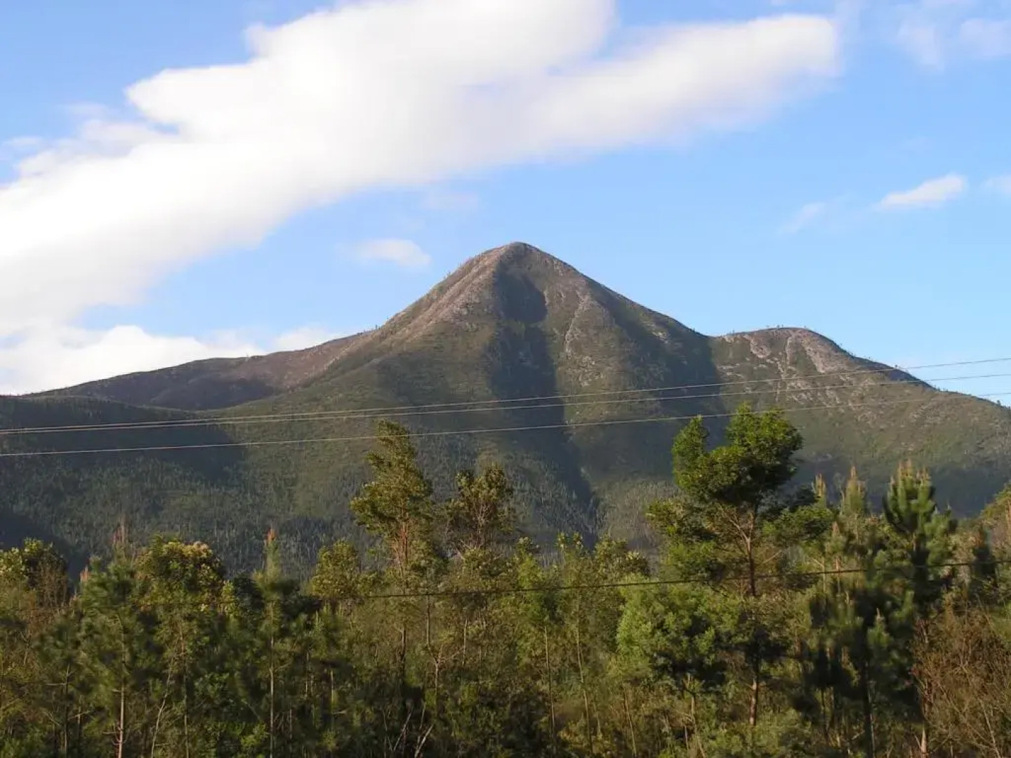 Fijnbosch Cottage and Camping