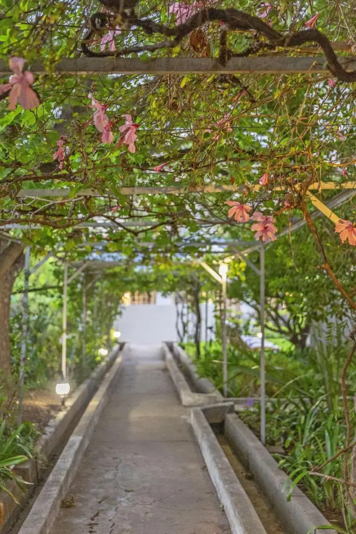 Monte Vista Boutique Hotel
