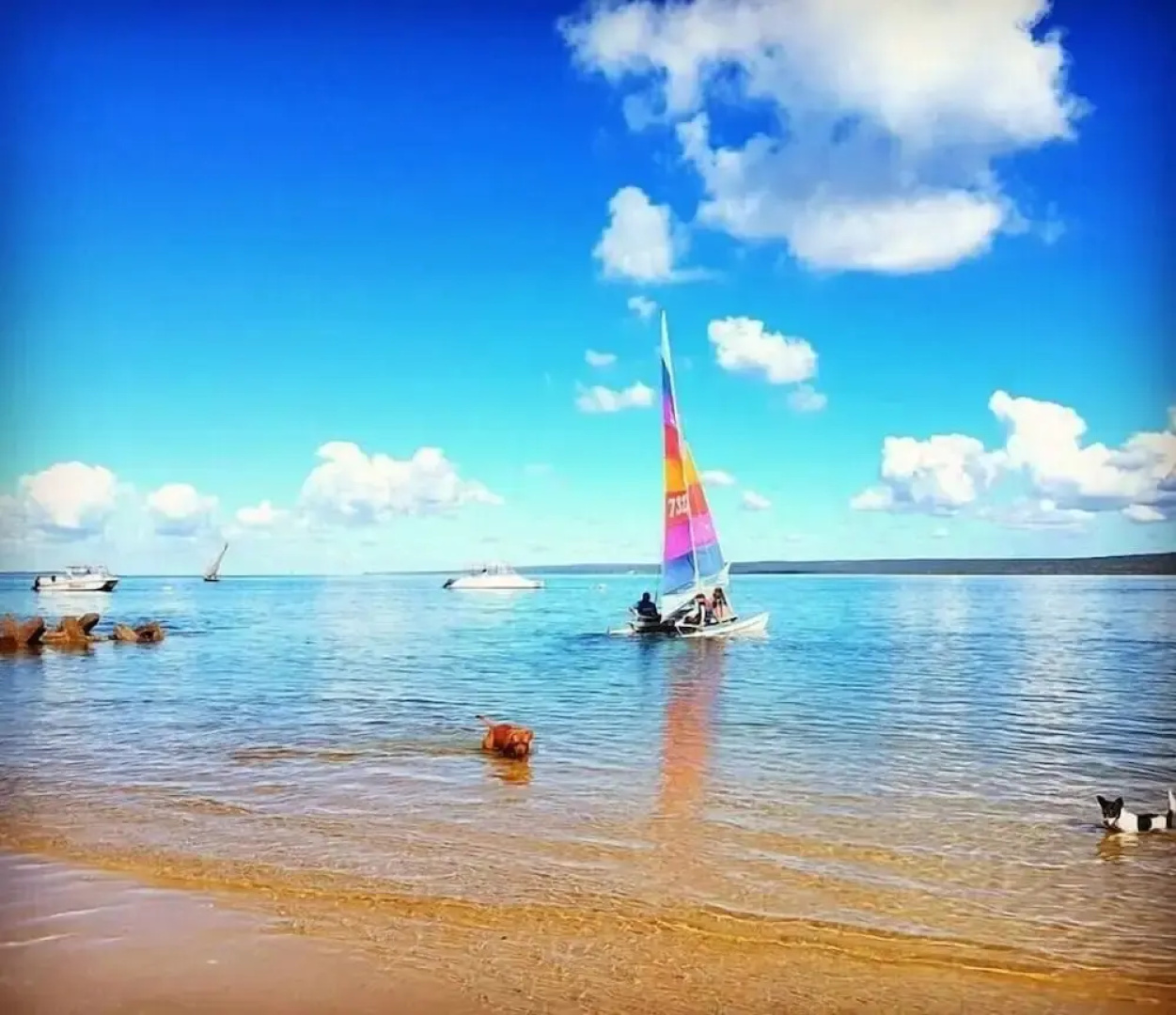 Castelo do Mar