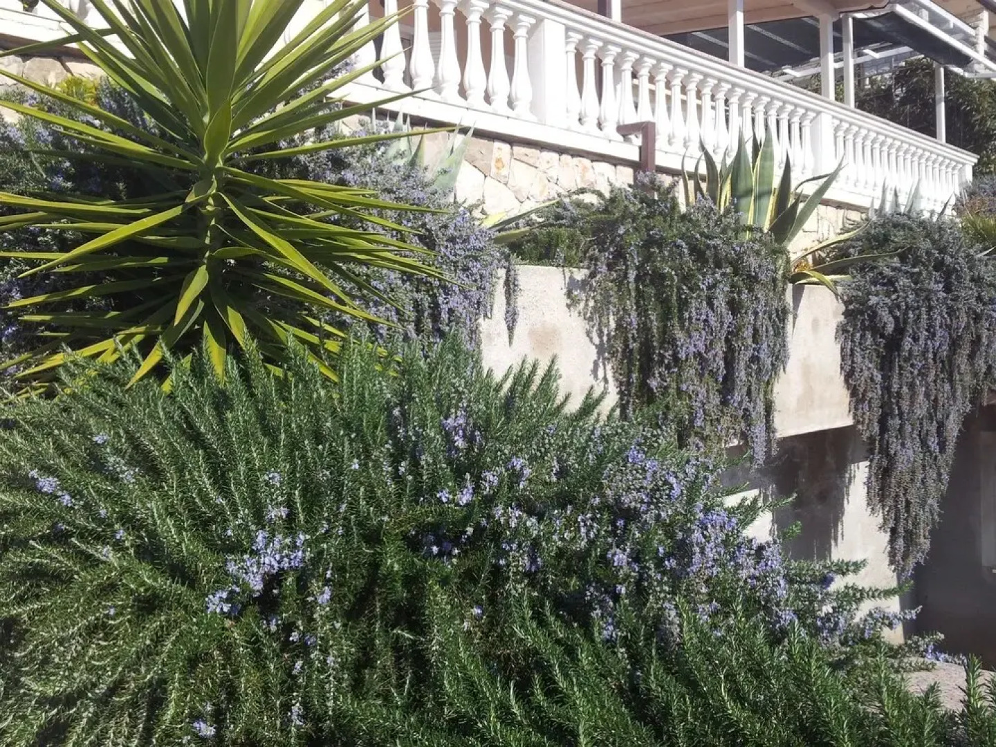 Apartment Sunny Side